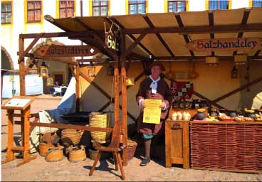 Salzsieder